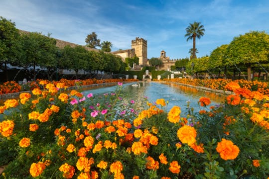 Visite guidée du quartier juif et de l'Alcázar de los Reyes Cristianos