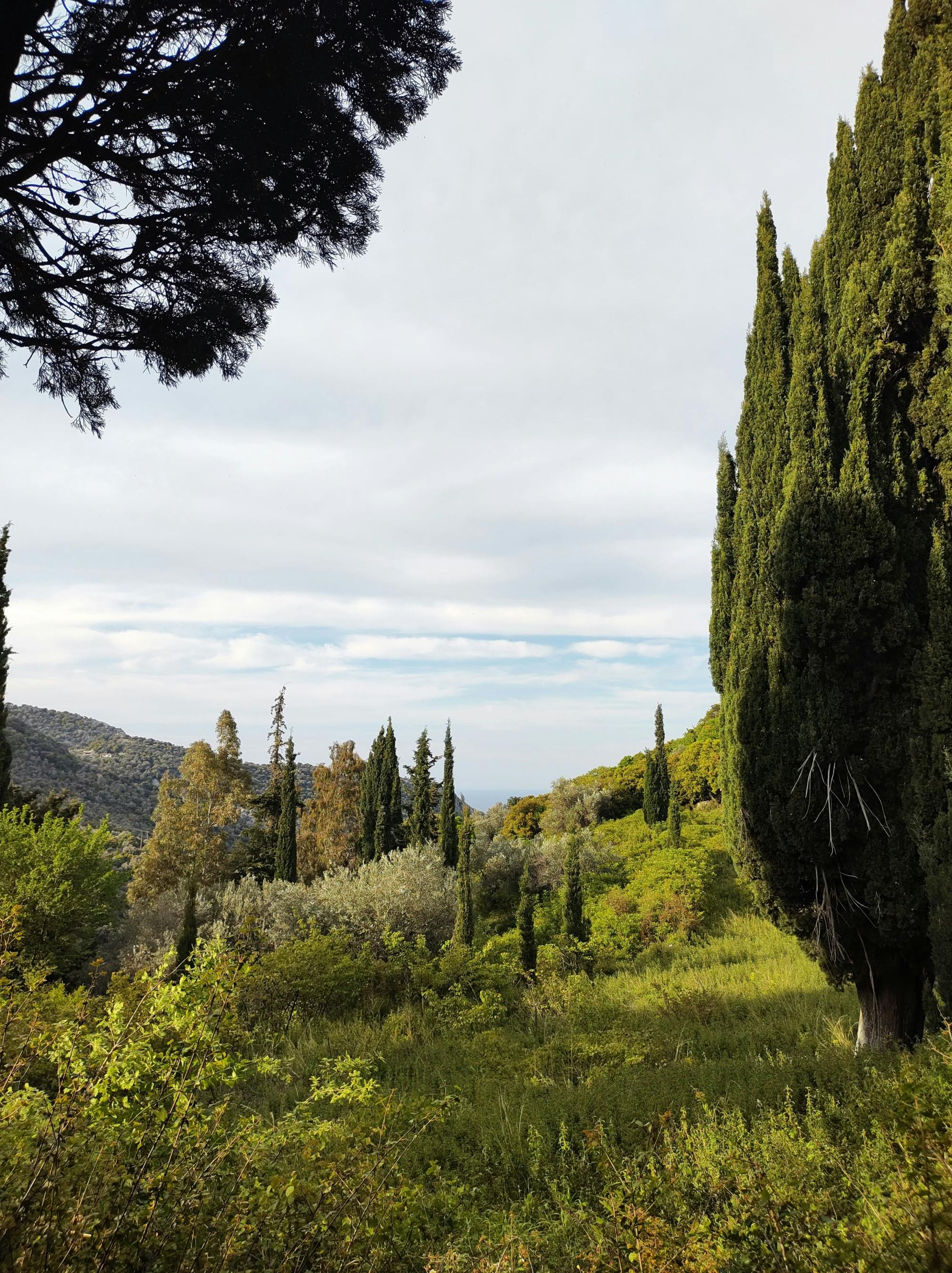 Sacred Skiathos Tour