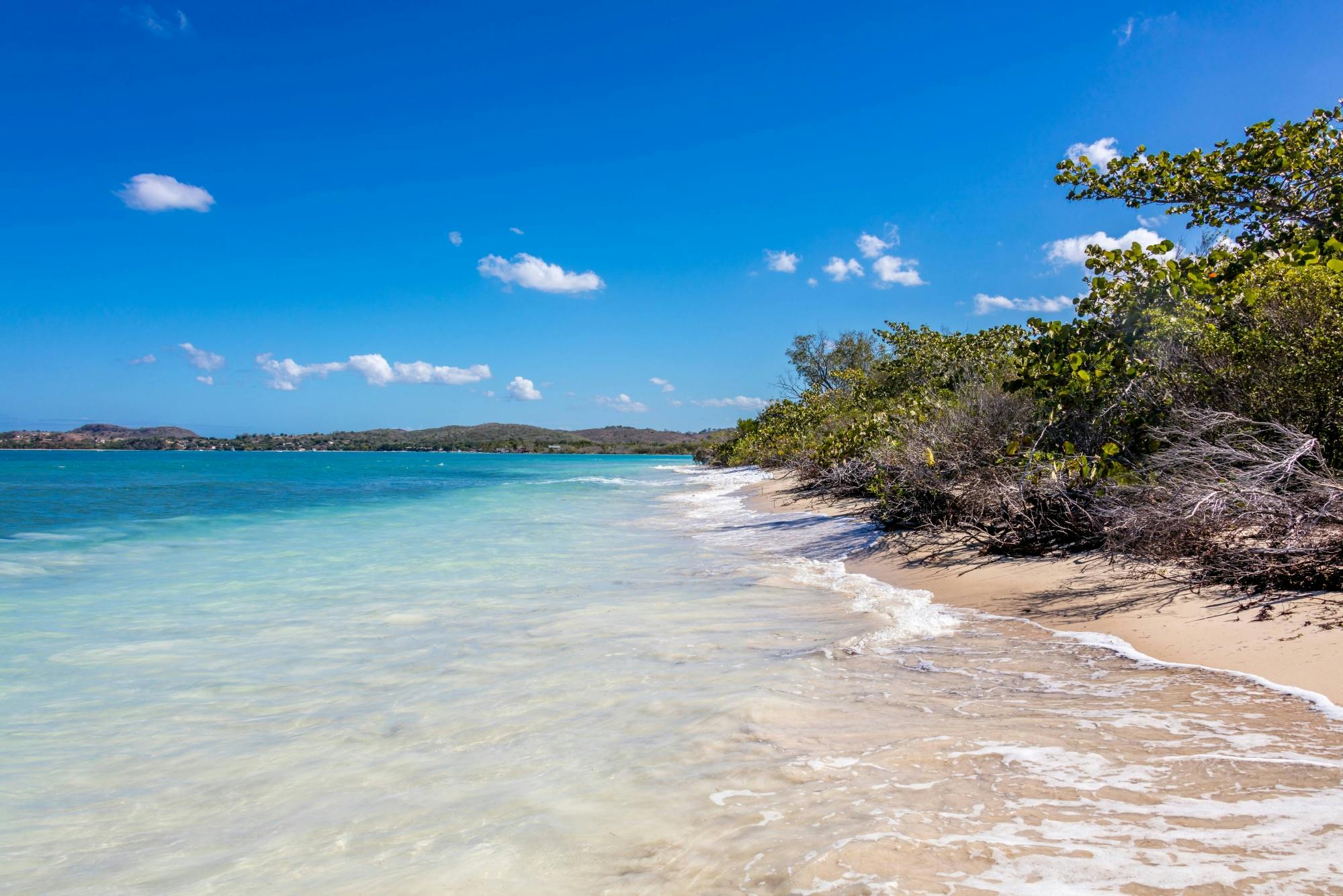 Private Speedboat Paradise Island Tour