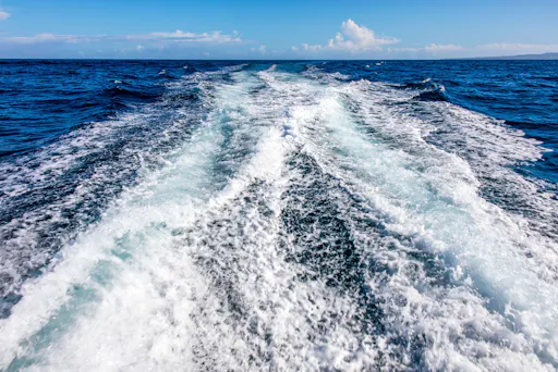 Private Speedboat Paradise Island Tour