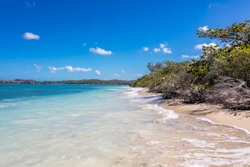 Private Speedboat Paradise Island Tour