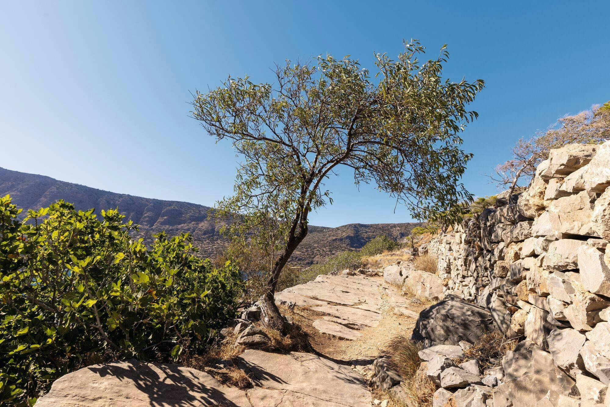 Spinalonga Island Tour Ticket