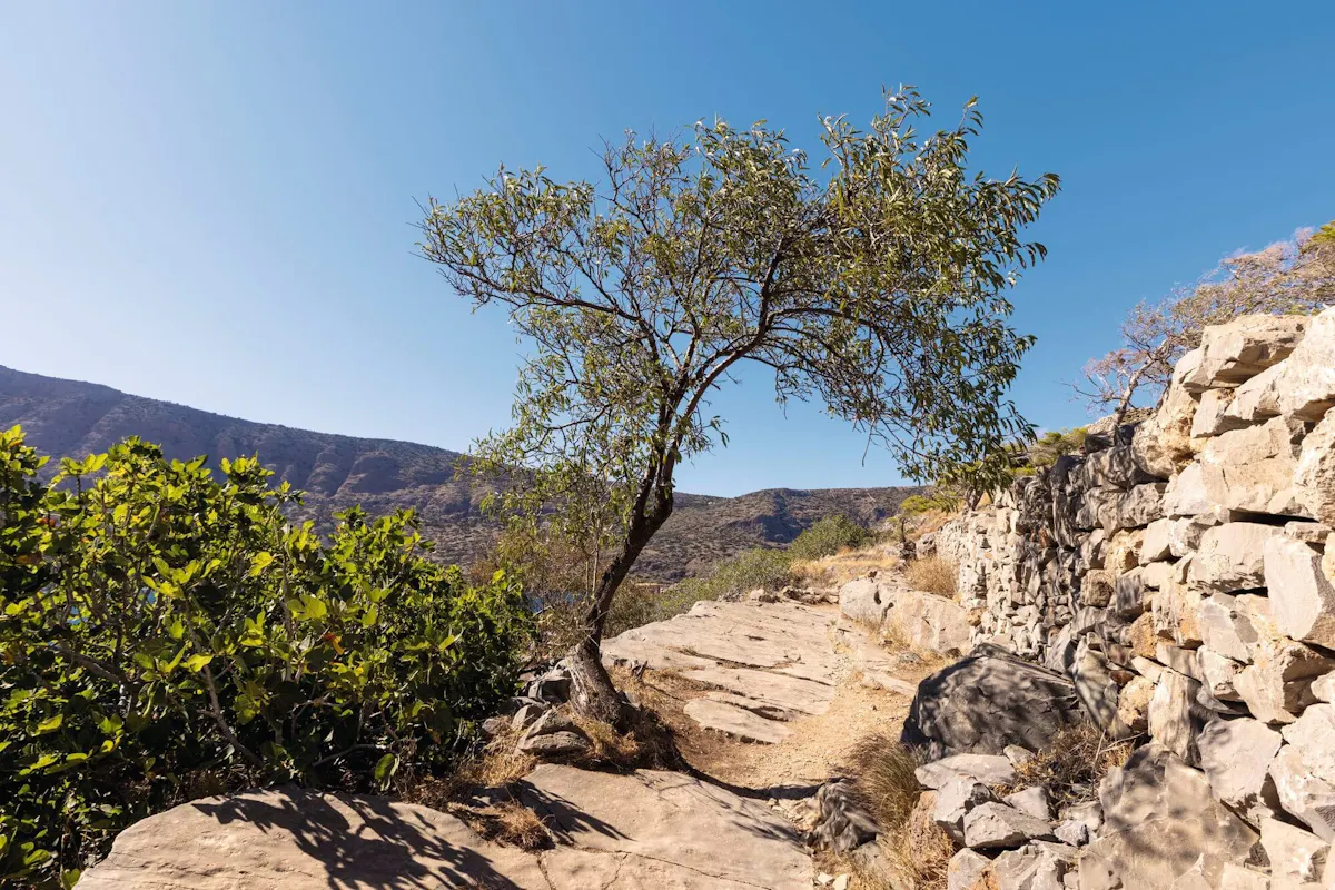 Spinalonga Island Tour Ticket