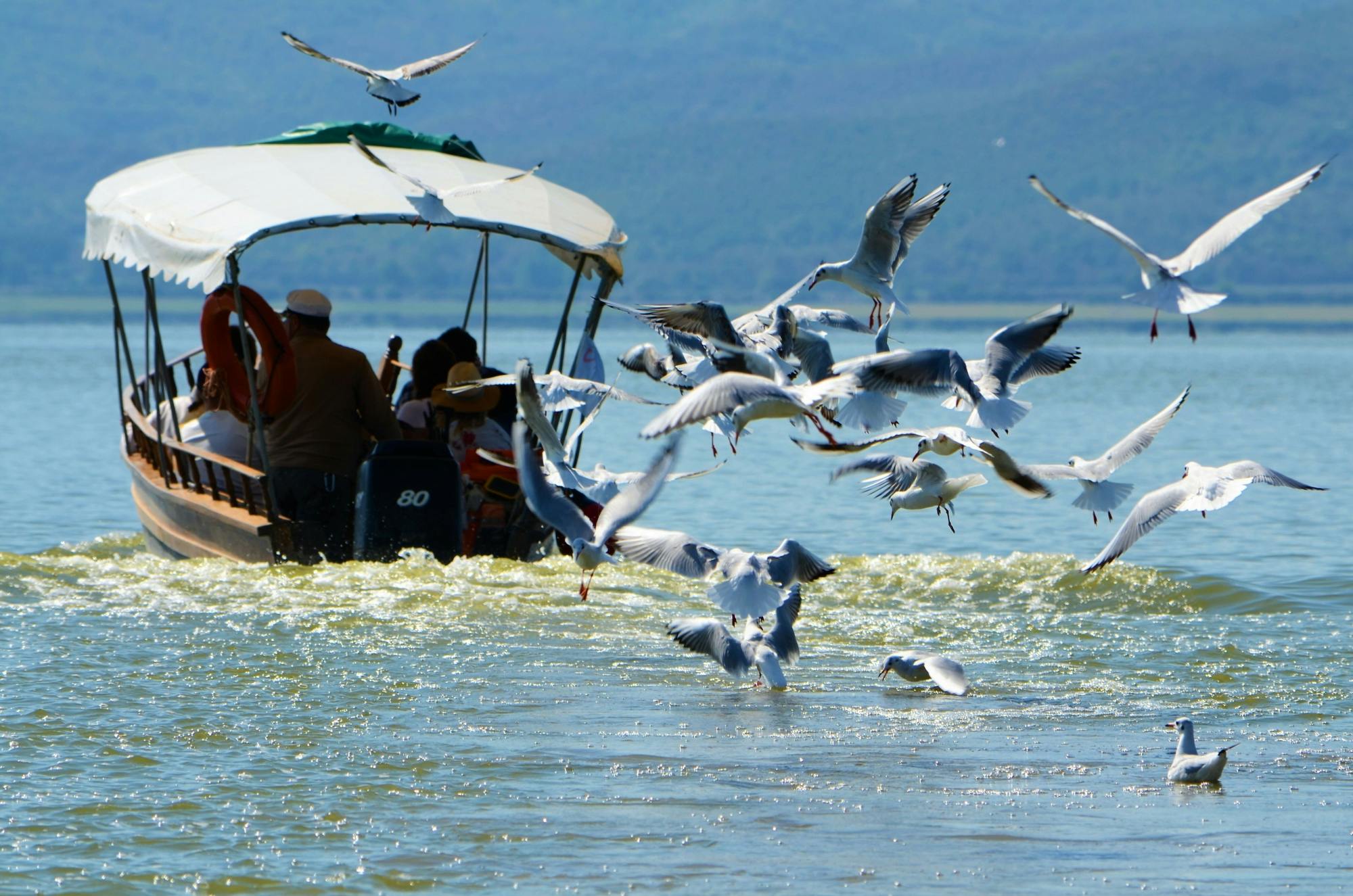 Lake Kerkini Adventure Tour