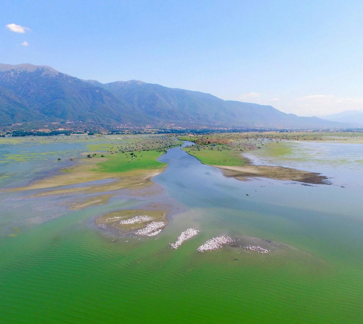 Lake Kerkini Adventure Tour
