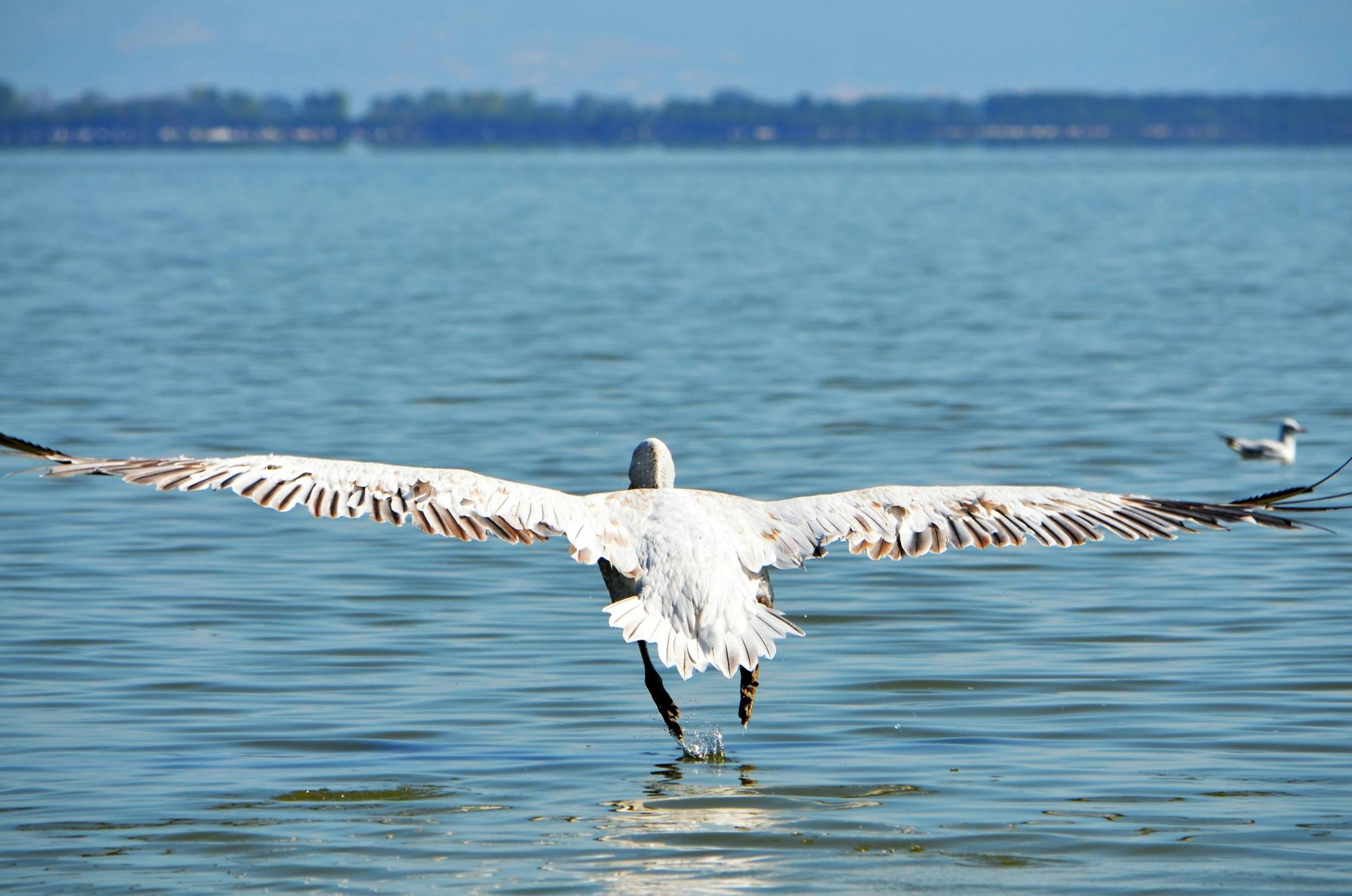 Lake Kerkini Adventure Tour