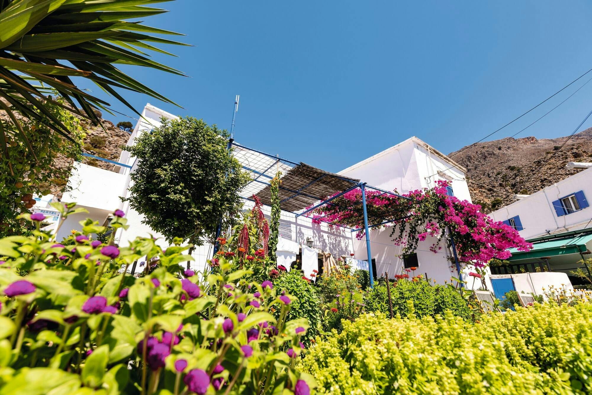 Tour of Loutro Village including a Typical Cretan Lunch