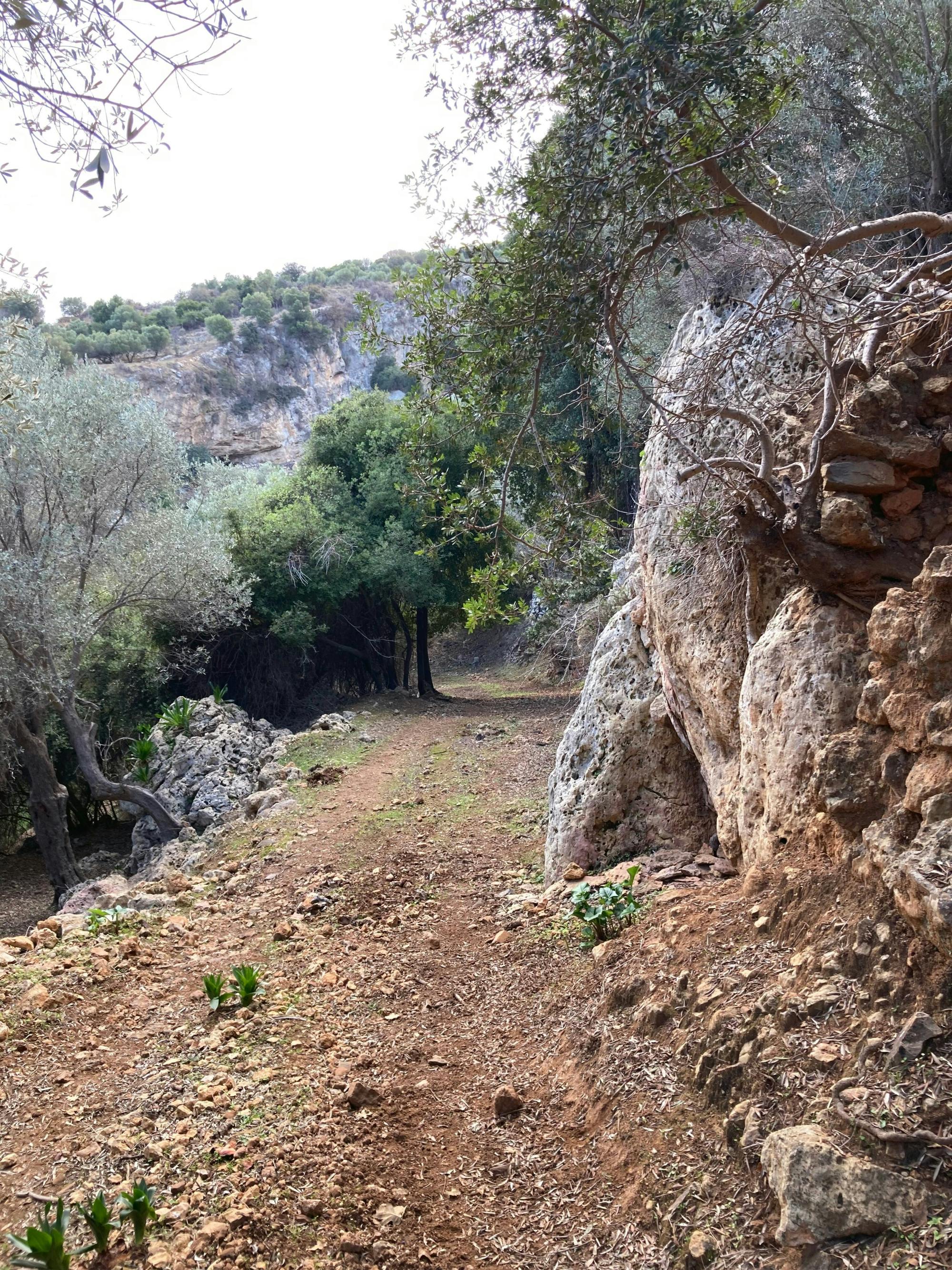 Demi-journée de visite : Les gorges de Maroulas et randonnée pédestre