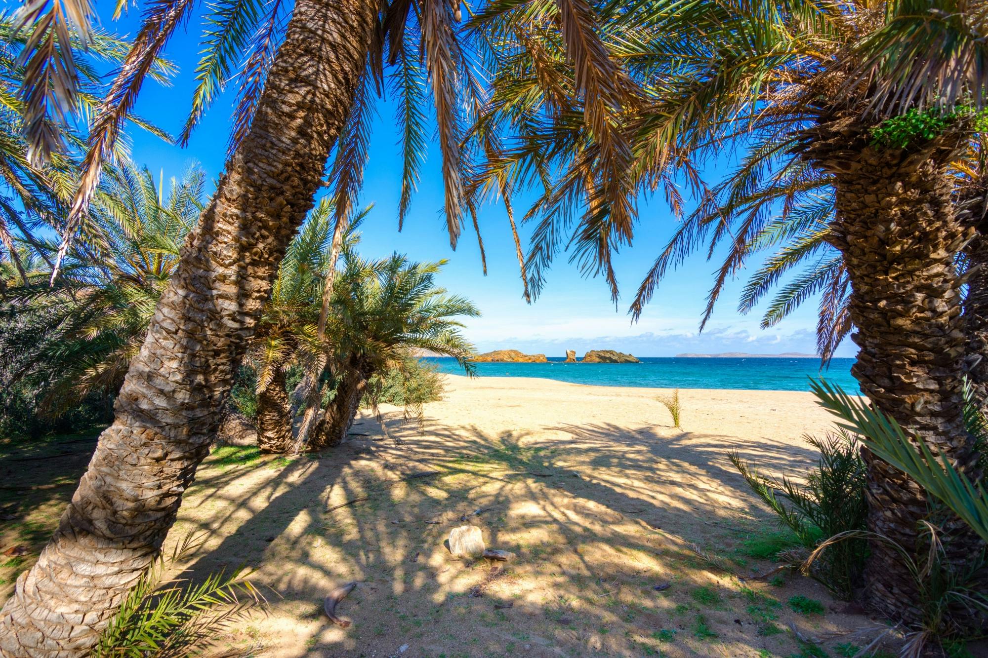 Sitia and Vai Palm Beach Tour from Ierapetra