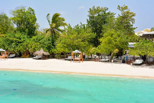 Paradise Beach Resort & Pigs with Catamaran Cruise