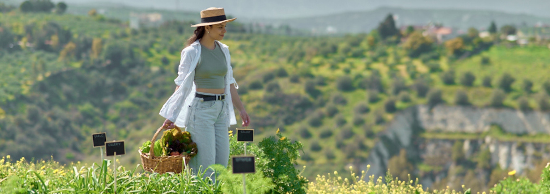 Heraklion Cooking Classes & Local Food Workshops Guide