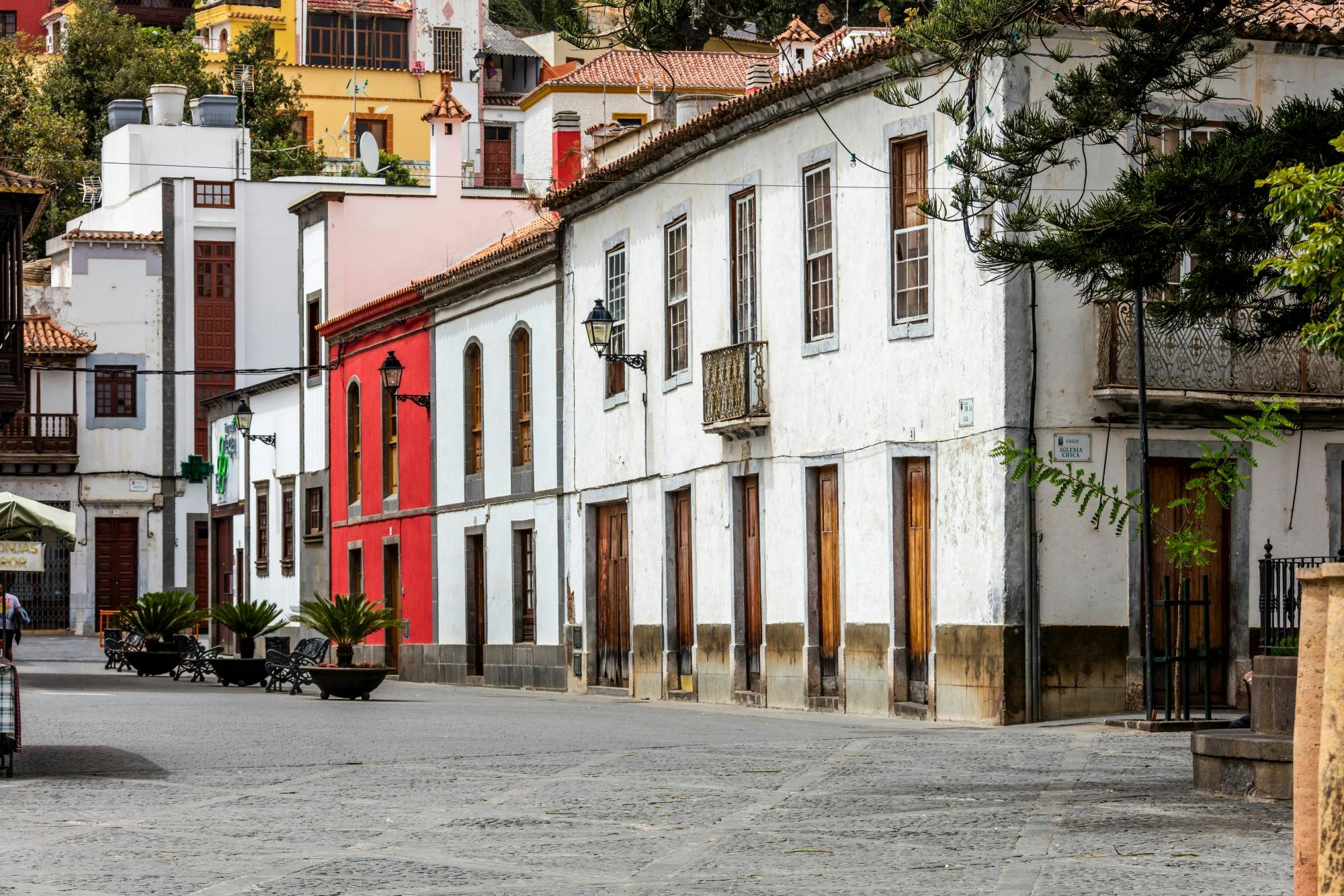 Island Tour of Gran Canaria including Typical Lunch