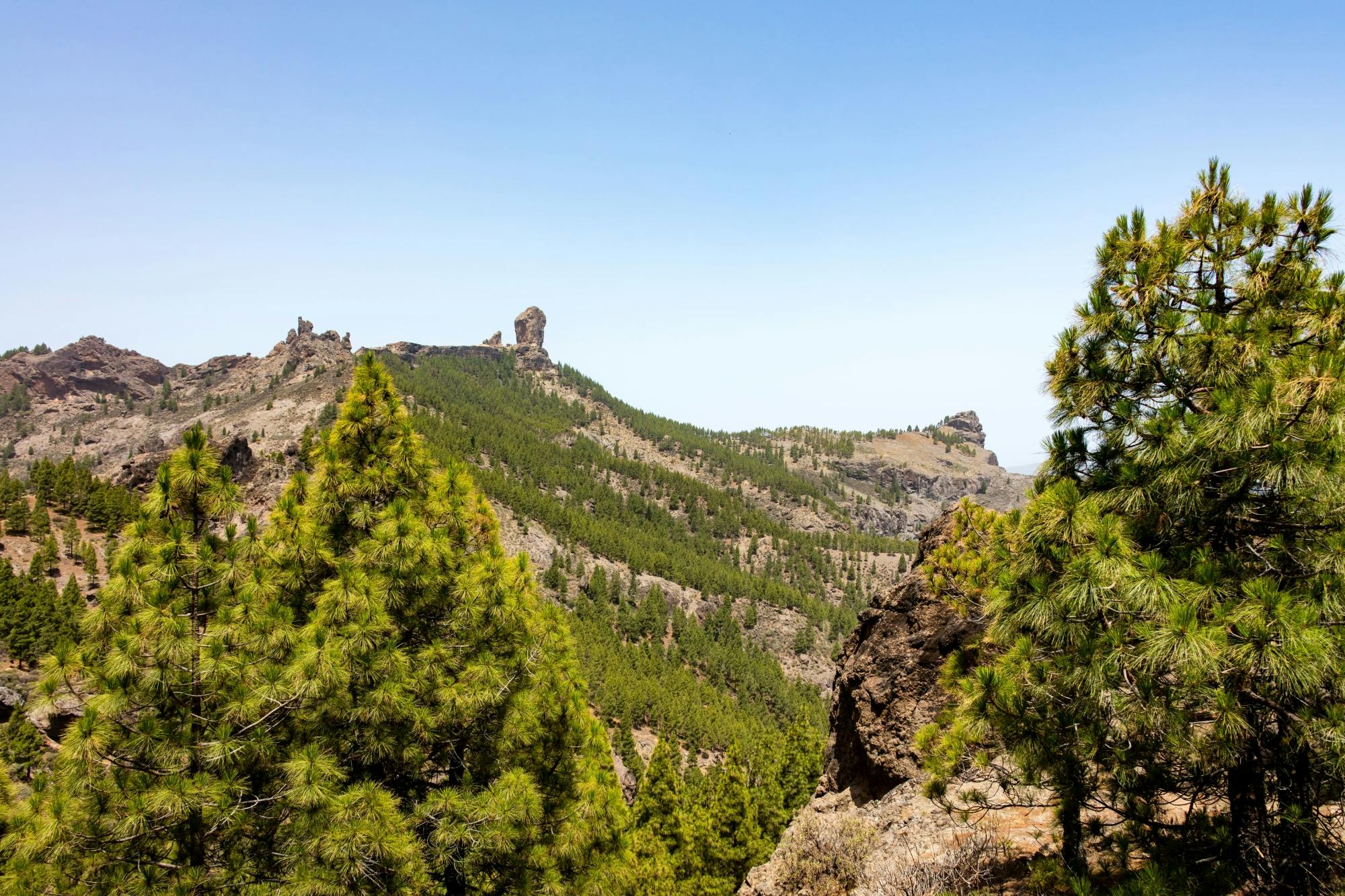 Passeggiata di Roque Nublo con tapas nel villaggio di Fataga