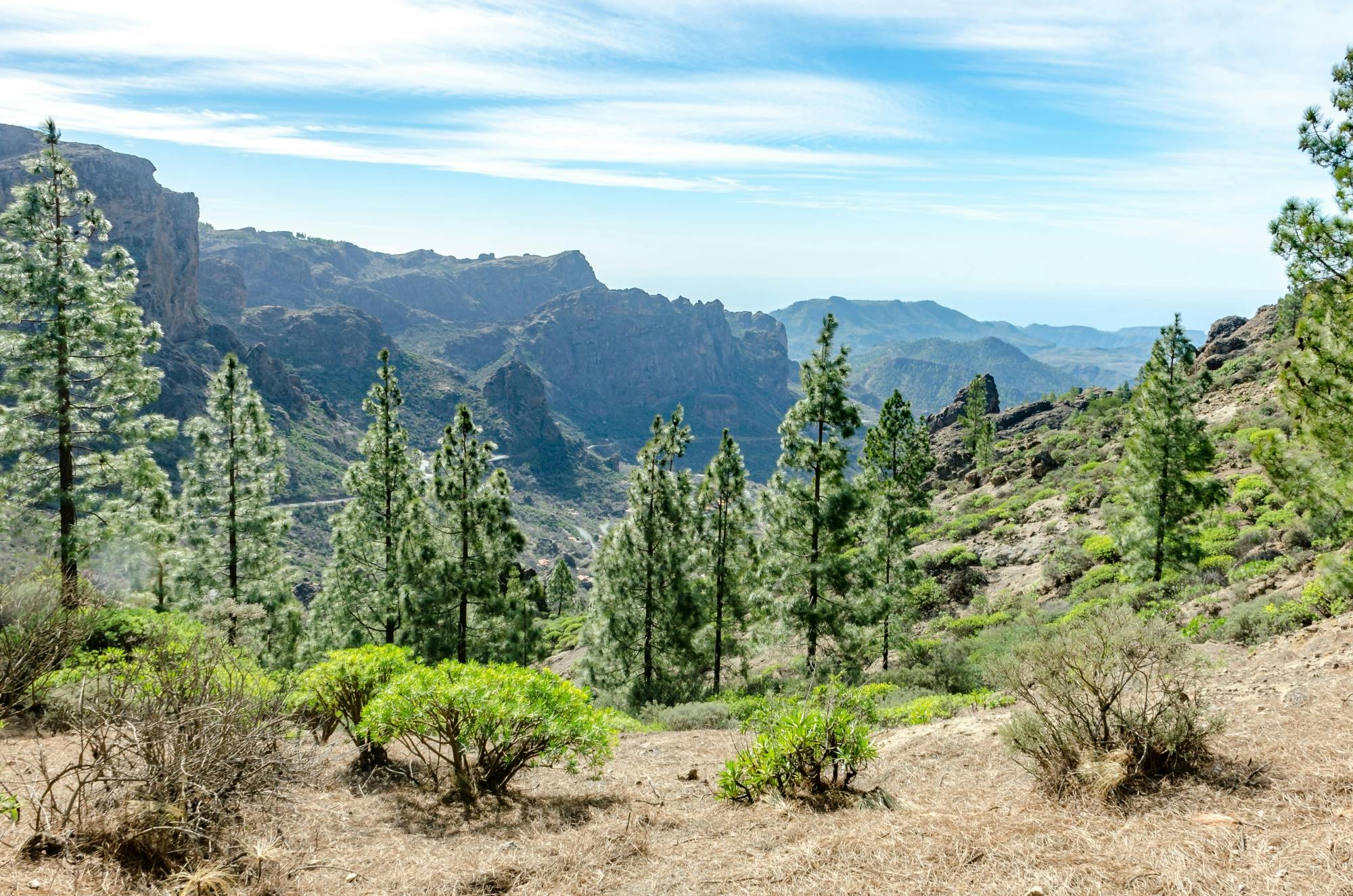 Roque Nublo Walk with Tapas in Fataga Village