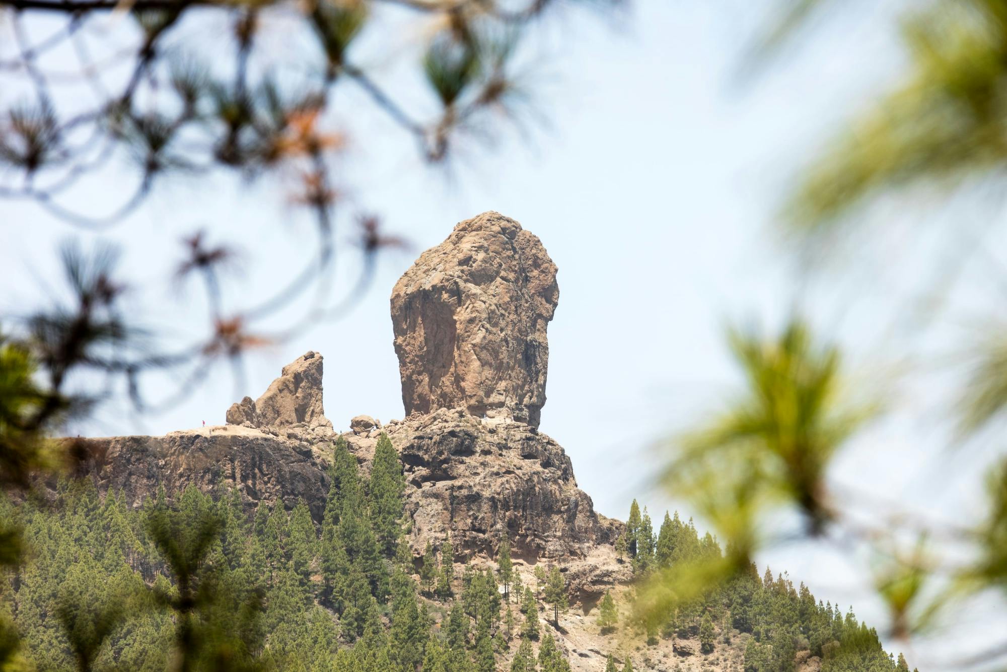 Roque Nublo Walk with Tapas in Fataga Village