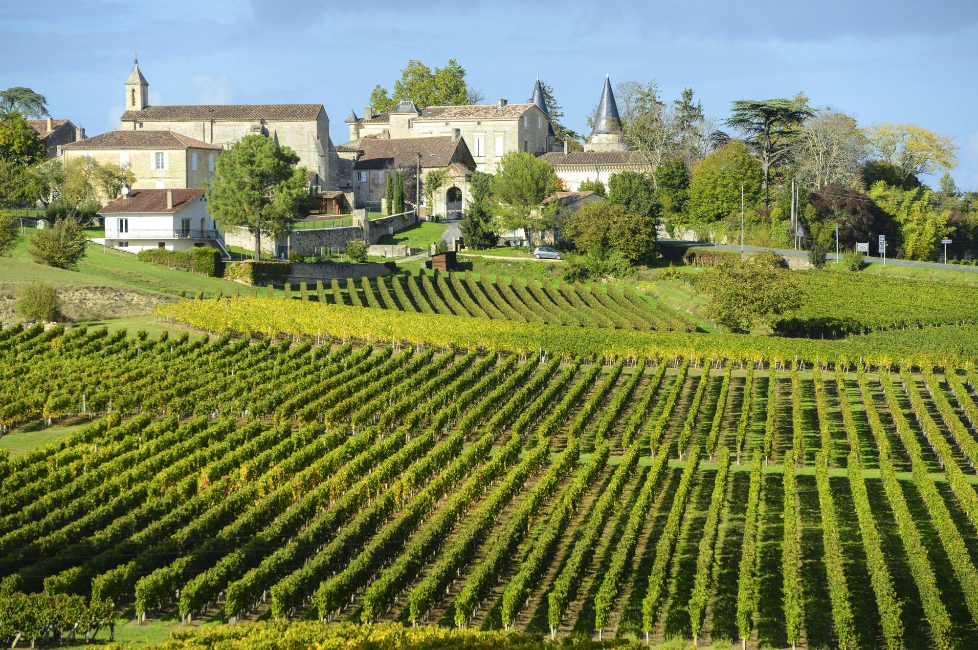 Excursion guidée d'une demi-journée à un château Grand cru et au village de Saint-Émilion