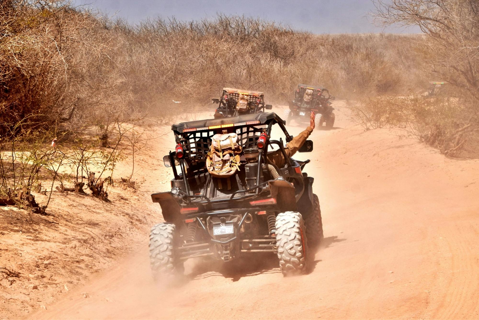 Northern Boa Vista Two-hour Buggy Adventure by No-Limits