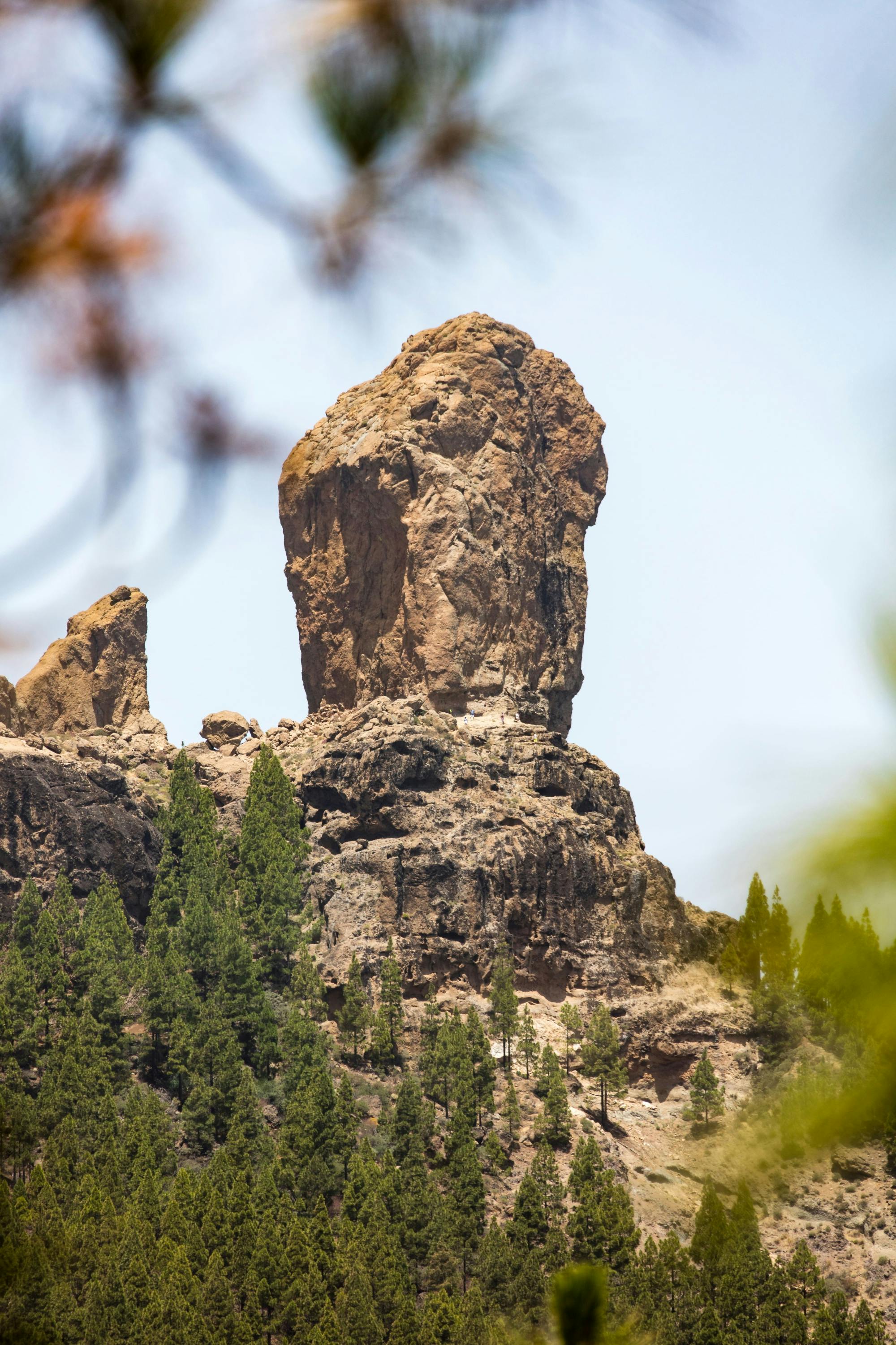 Roque Nublo Walk with Tapas in Fataga Village