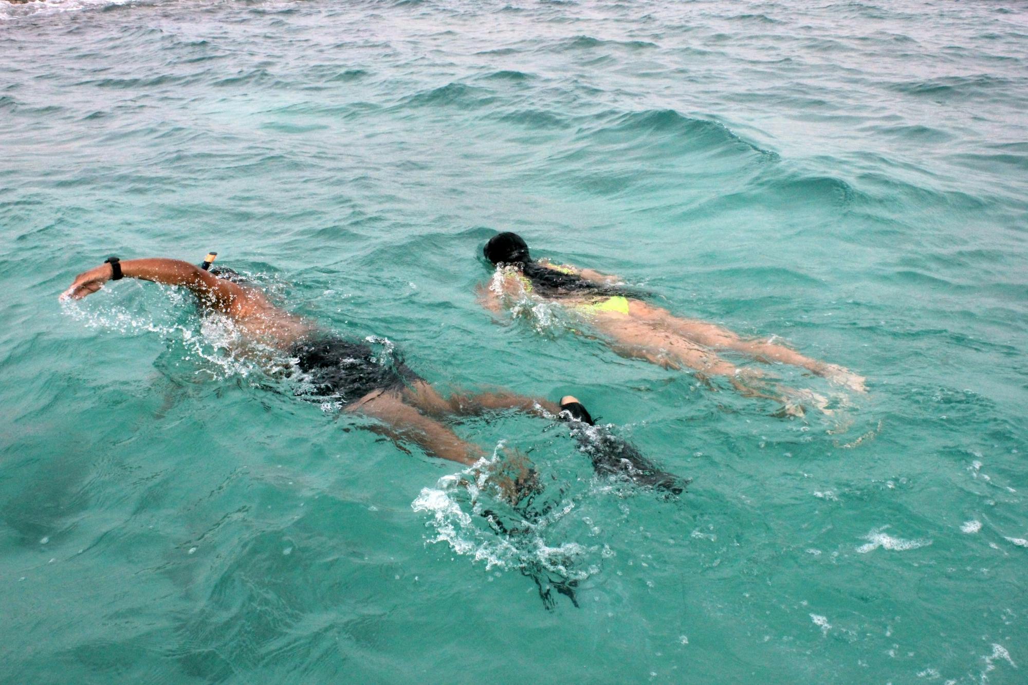 Boa Vista Snorkelling Experience