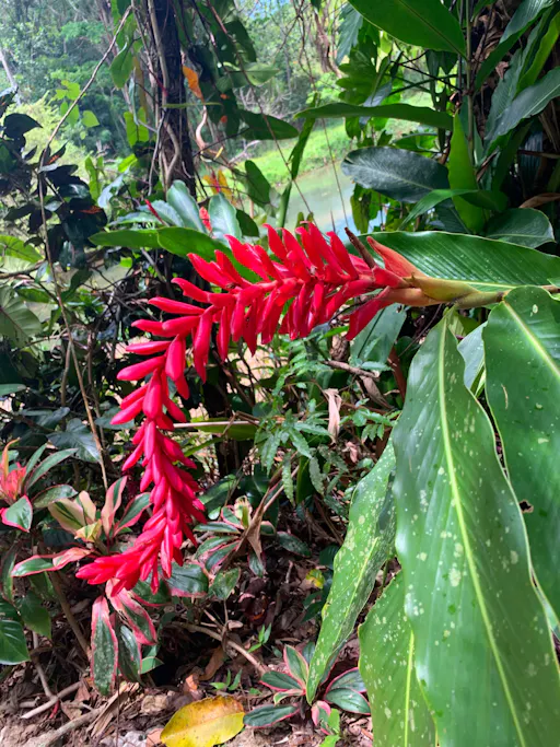 Bunkers Hill Cave Hike and River Experience