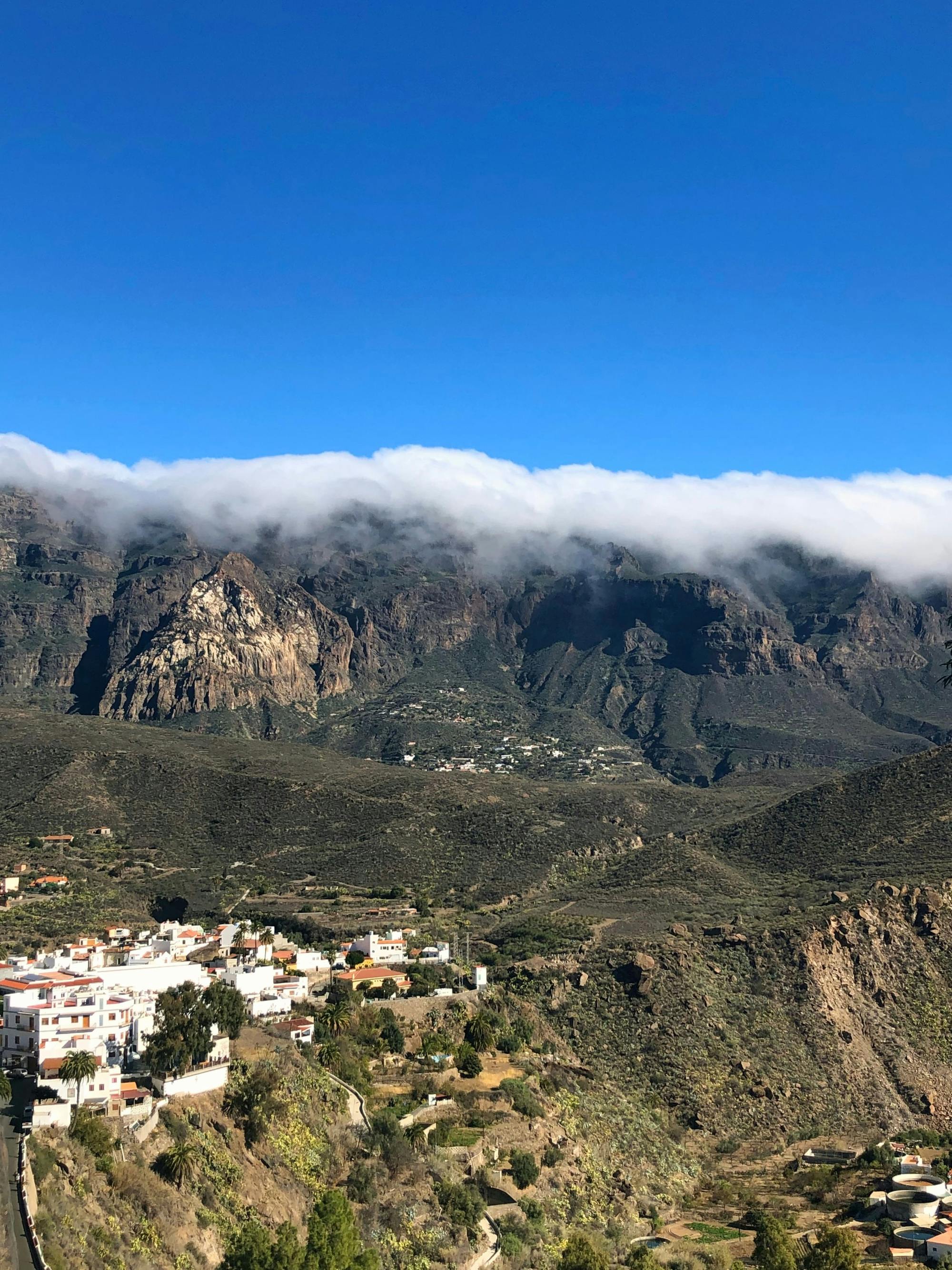 Private Tour of Gran Canaria Highlights with Aloe Vera Plantation