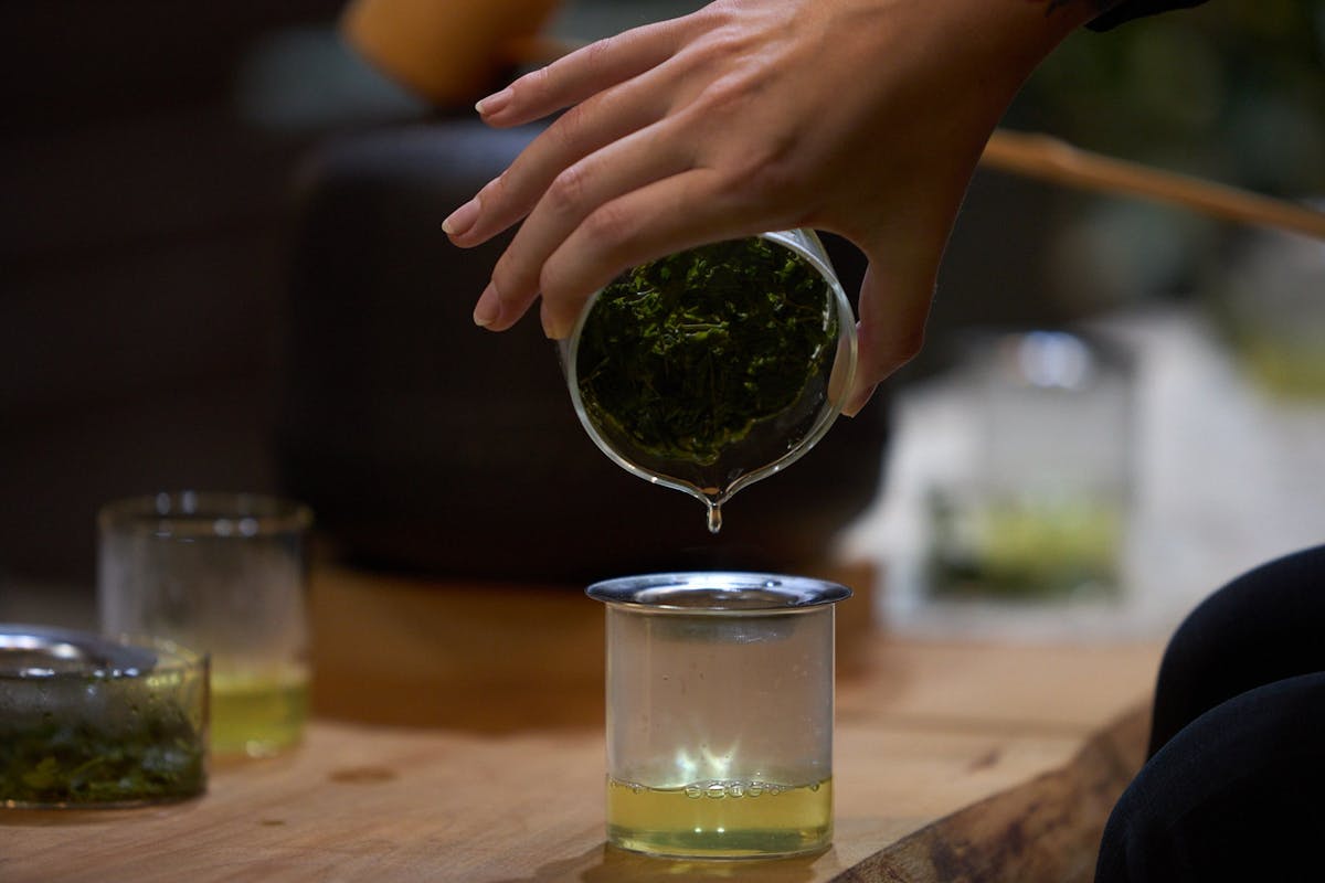 Impara e vivi la cultura del tè giapponese con i professionisti