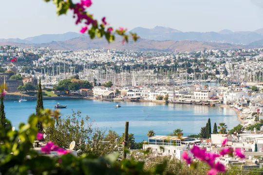 Bodrum – dagstur med transport som tillval