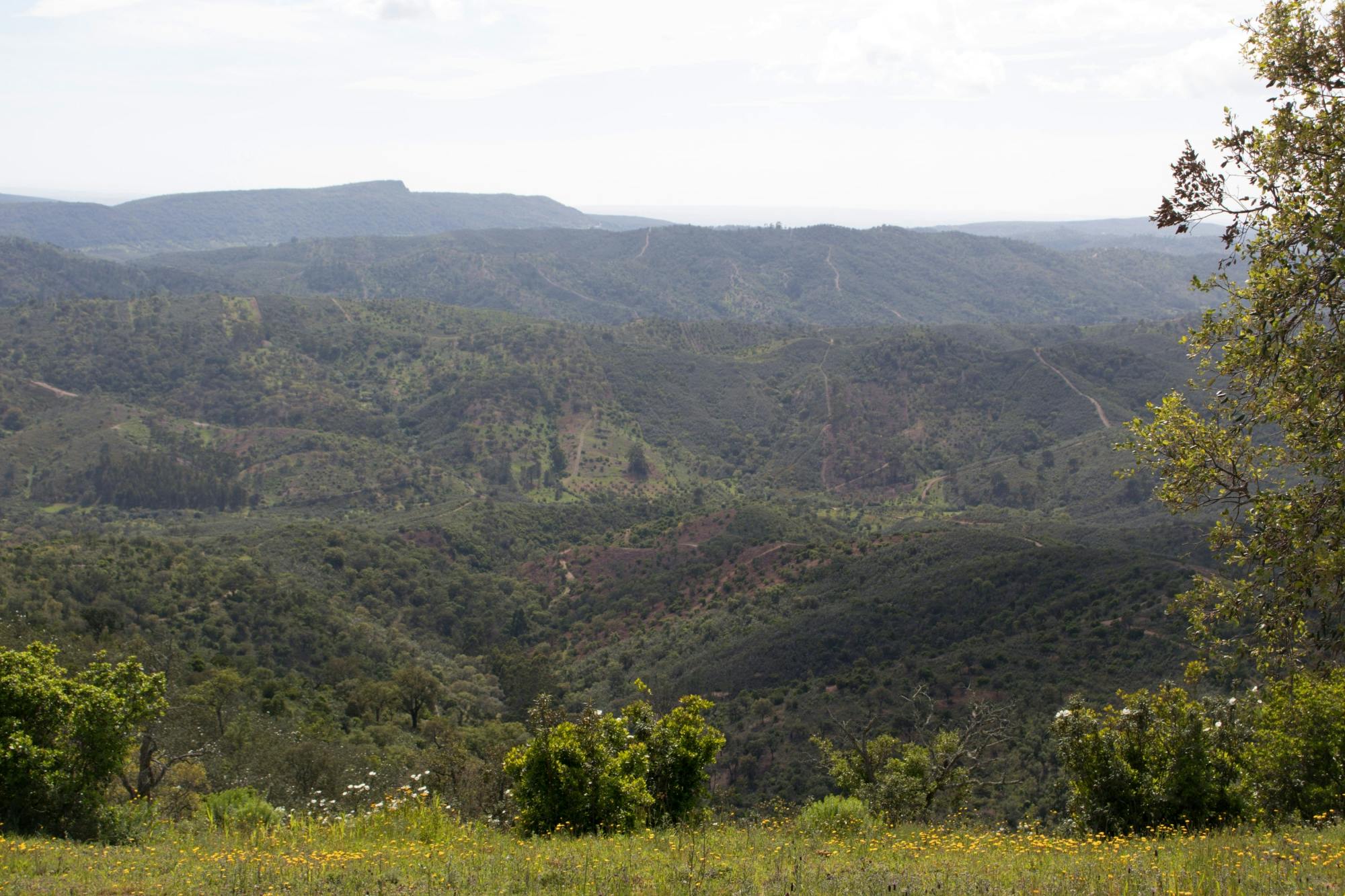 Serra do Caldeirão by 4x4 with Swim Stop and Lunch