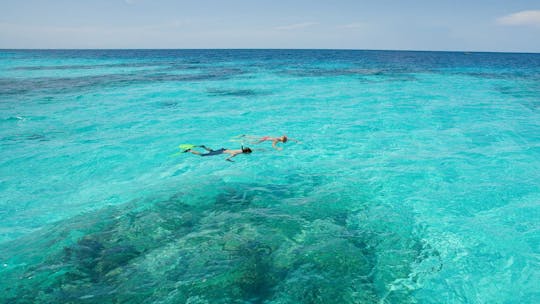 Snorkeling a Cala Gonone presso la spiaggia di S'Abba Meica