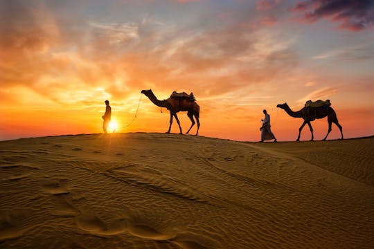 Sunset Camel Trek met show en BBQ in Al Khayma Camp vanuit Dubai