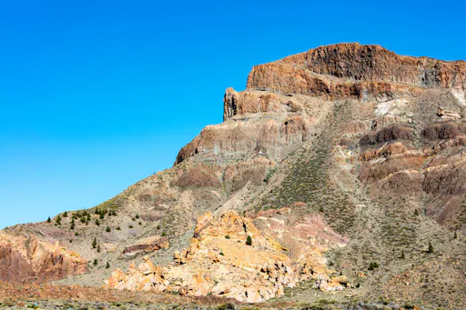 Teide National Park Tour with Local Guide