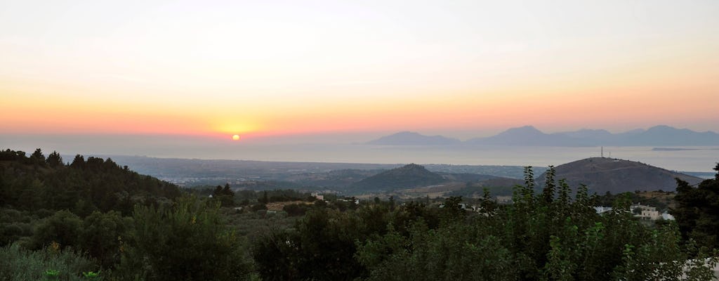 Zia by Night
