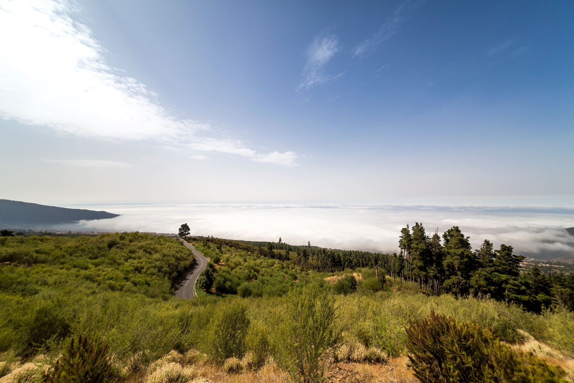 Teide National Park Tour with Local Guide