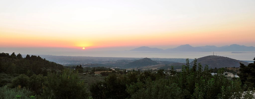 Zia by Night