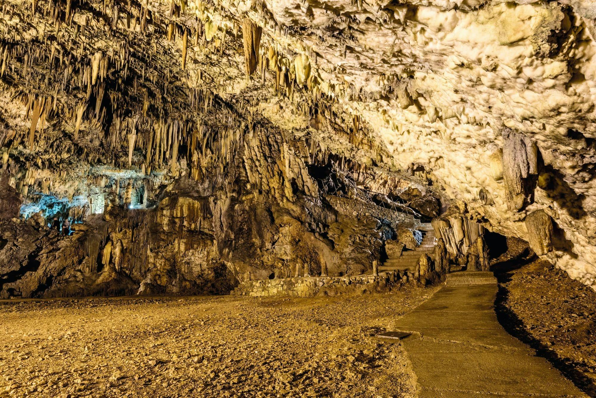 Corellis Kefalonia Tour