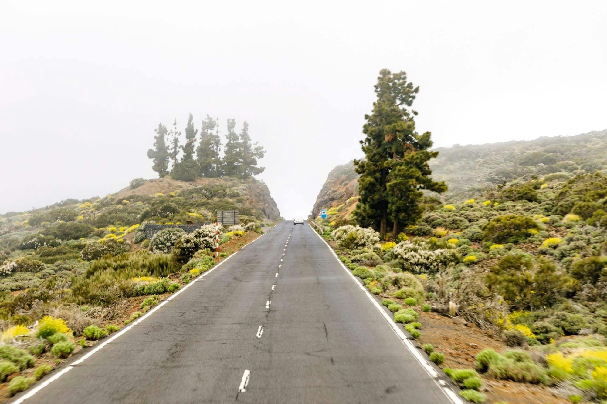 Teide National Park Tour with Local Guide