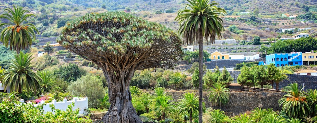 Ganztägige private Minivan-Tour durch den Nordwesten Teneriffas mit Mittagessen