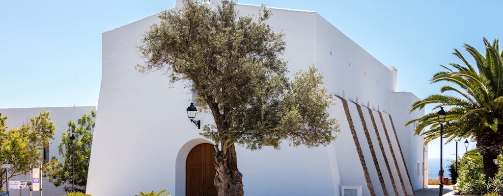 Ibiza Backroads Tour with Santa Gertrudis and Aloe Farm Visit