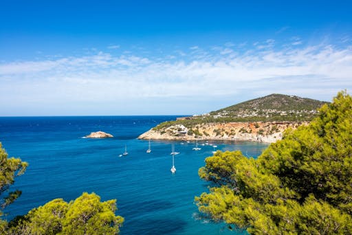 Ibiza Backroads Tour with Santa Gertrudis and Aloe Farm Visit