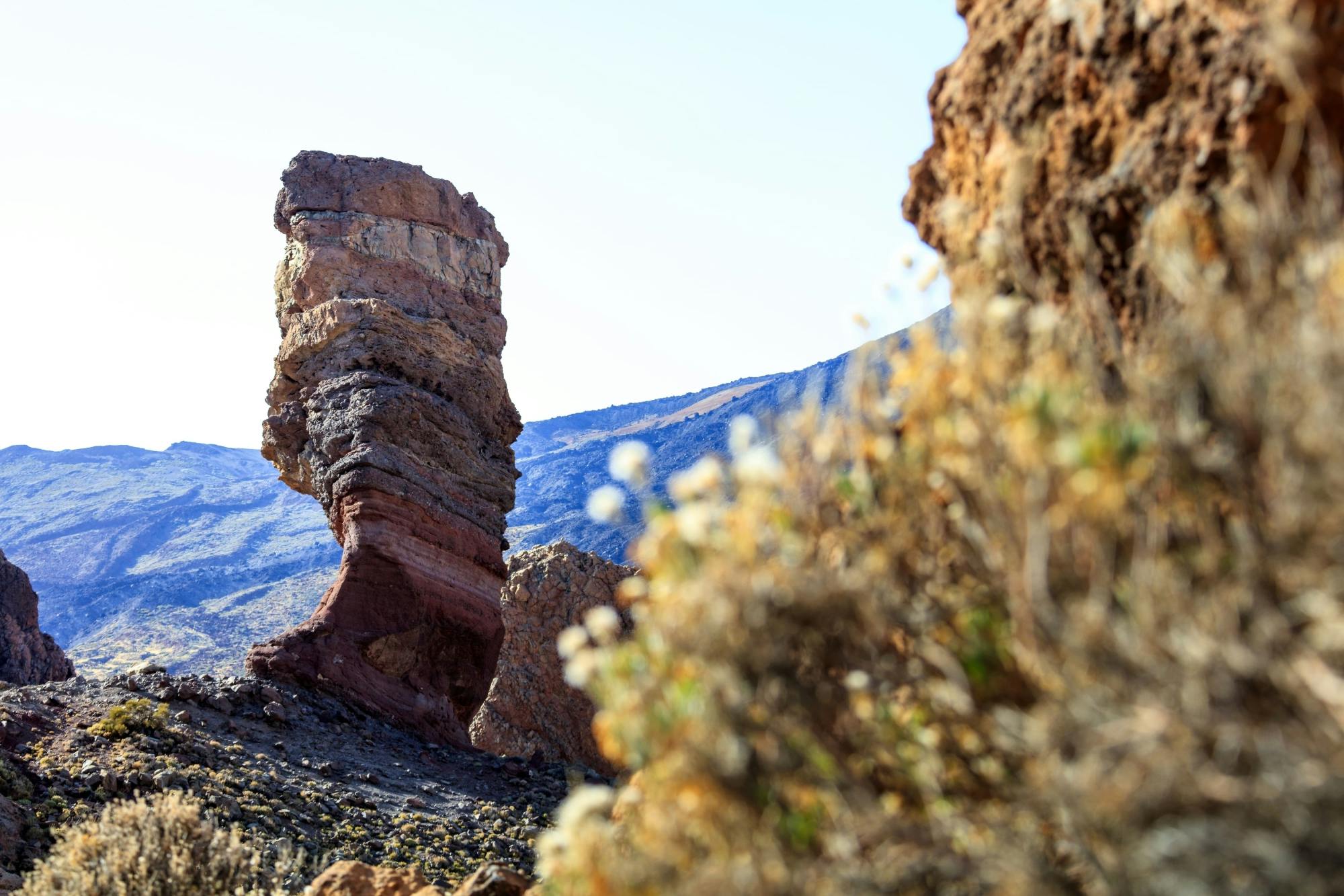 Teide National Park Tour with Local Guide