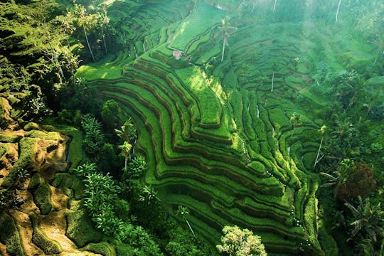 Kanto Lampo Waterfall and Tegalalang rice terraces private tour