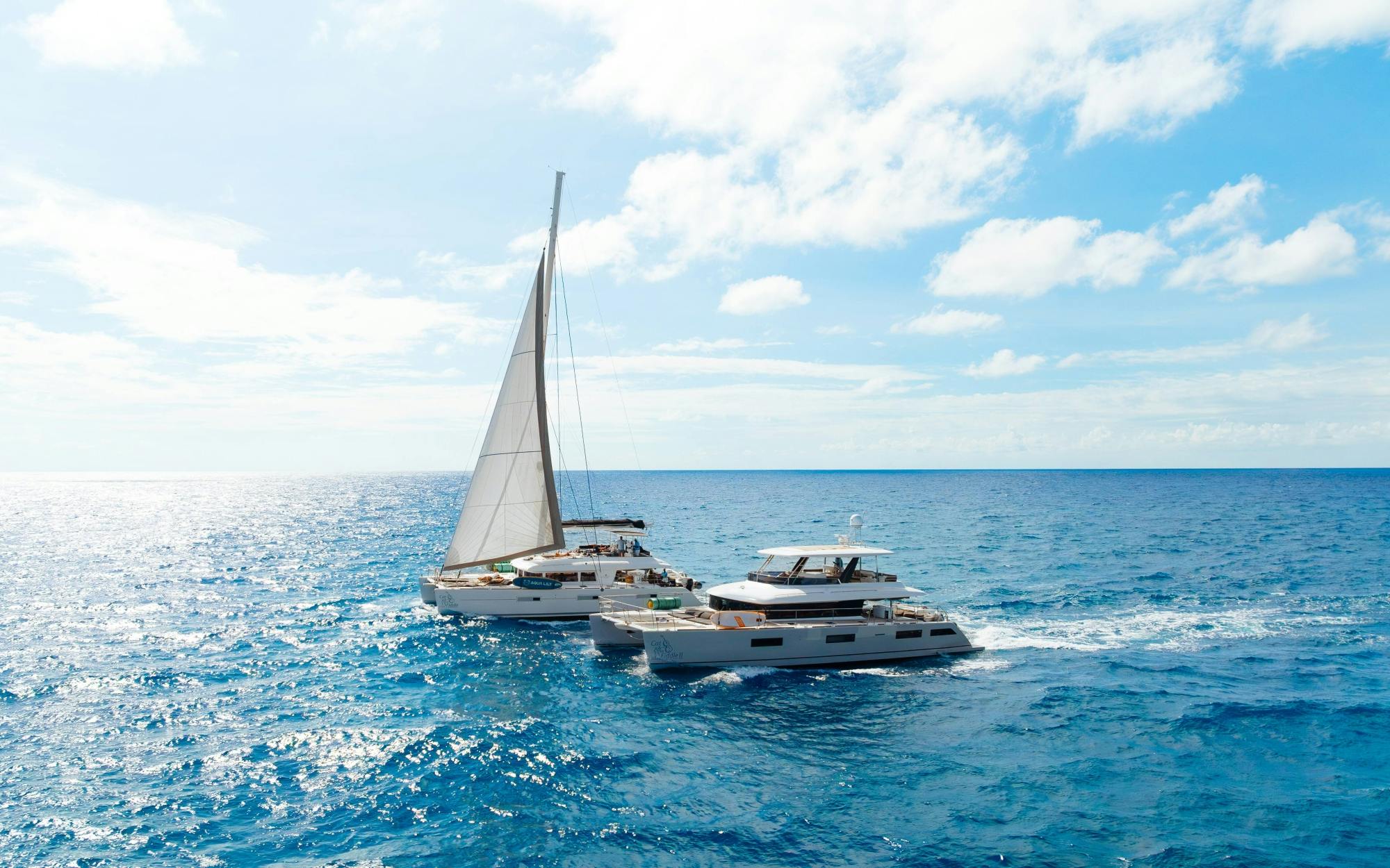Luxury Catamaran Cruise on The Cat and The Fiddle - Lunch Tour