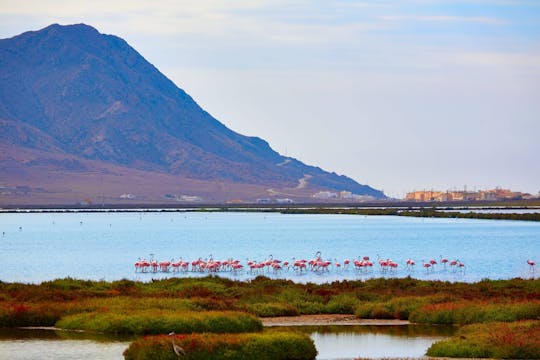 Visite de Cabo de Gata