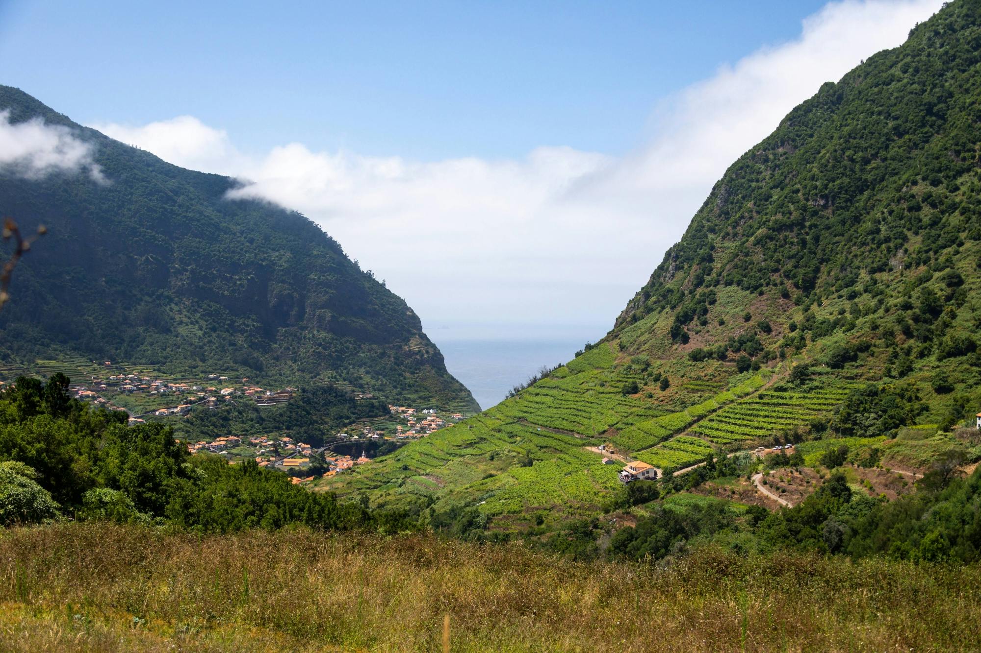 Deluxe Western Madeira Tour with Cabo Girão and Lunch