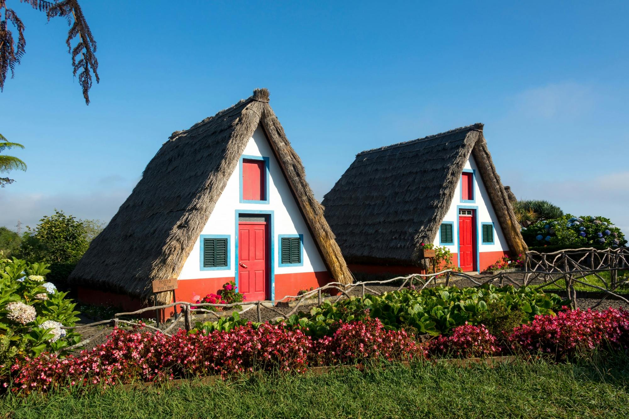 Deluxe Eastern Madeira Tour with Local Lunch and Levada Walk