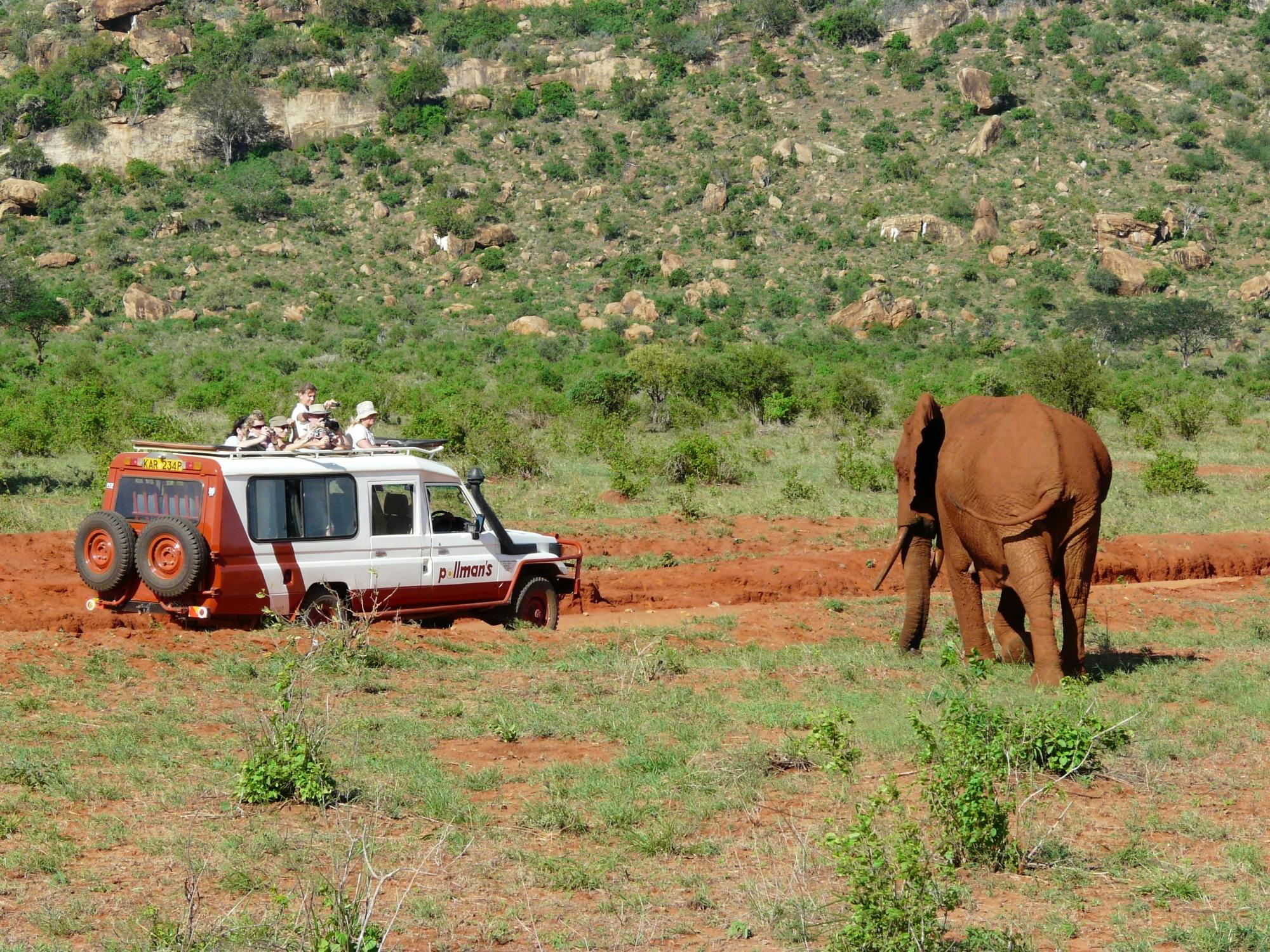 Tsavo East Safari com pernoite no Ashnil Aruba Lodge