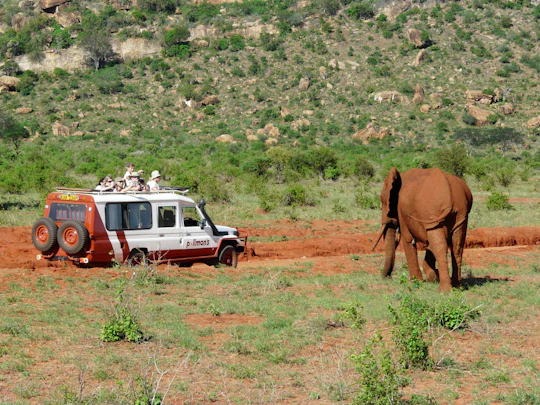 Tsavo East Safari with Overnight Stay at Ashnil Aruba Lodge