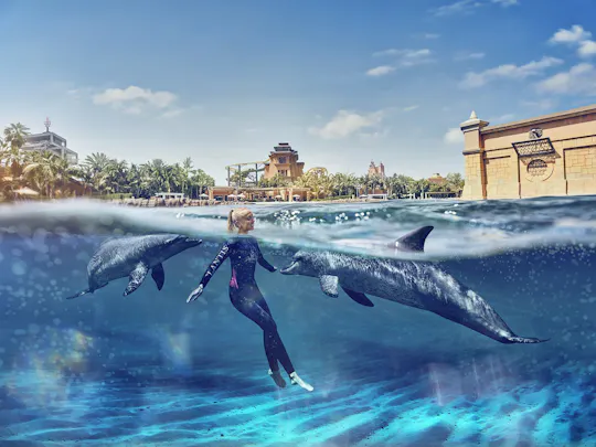 Nado com golfinhos no Atlantis Dubai