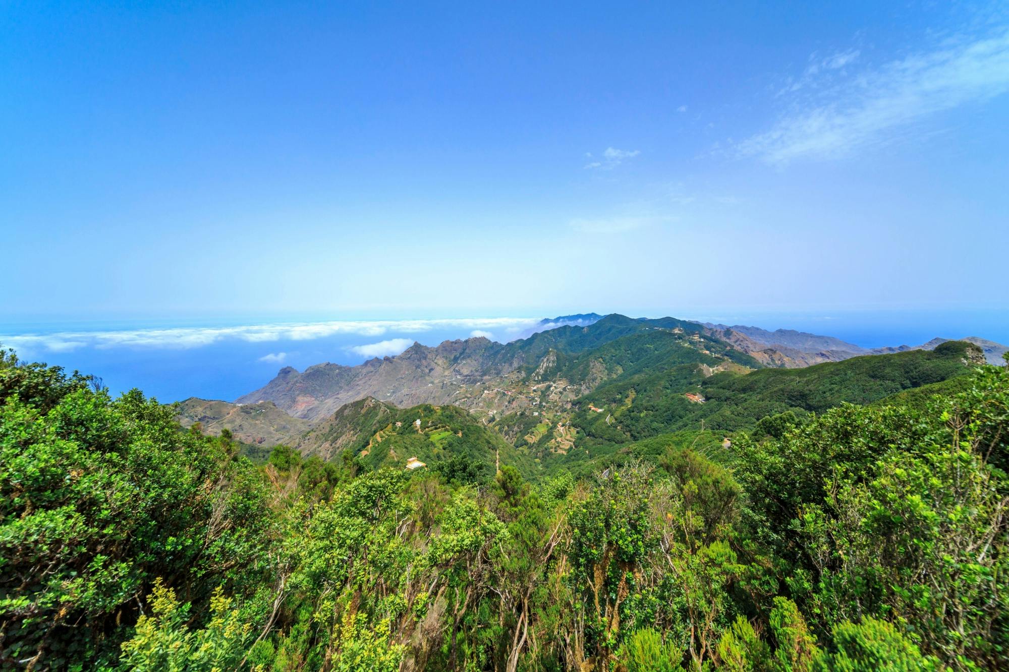 Tour of Tenerife Villages with Anaga Country Park and Lunch