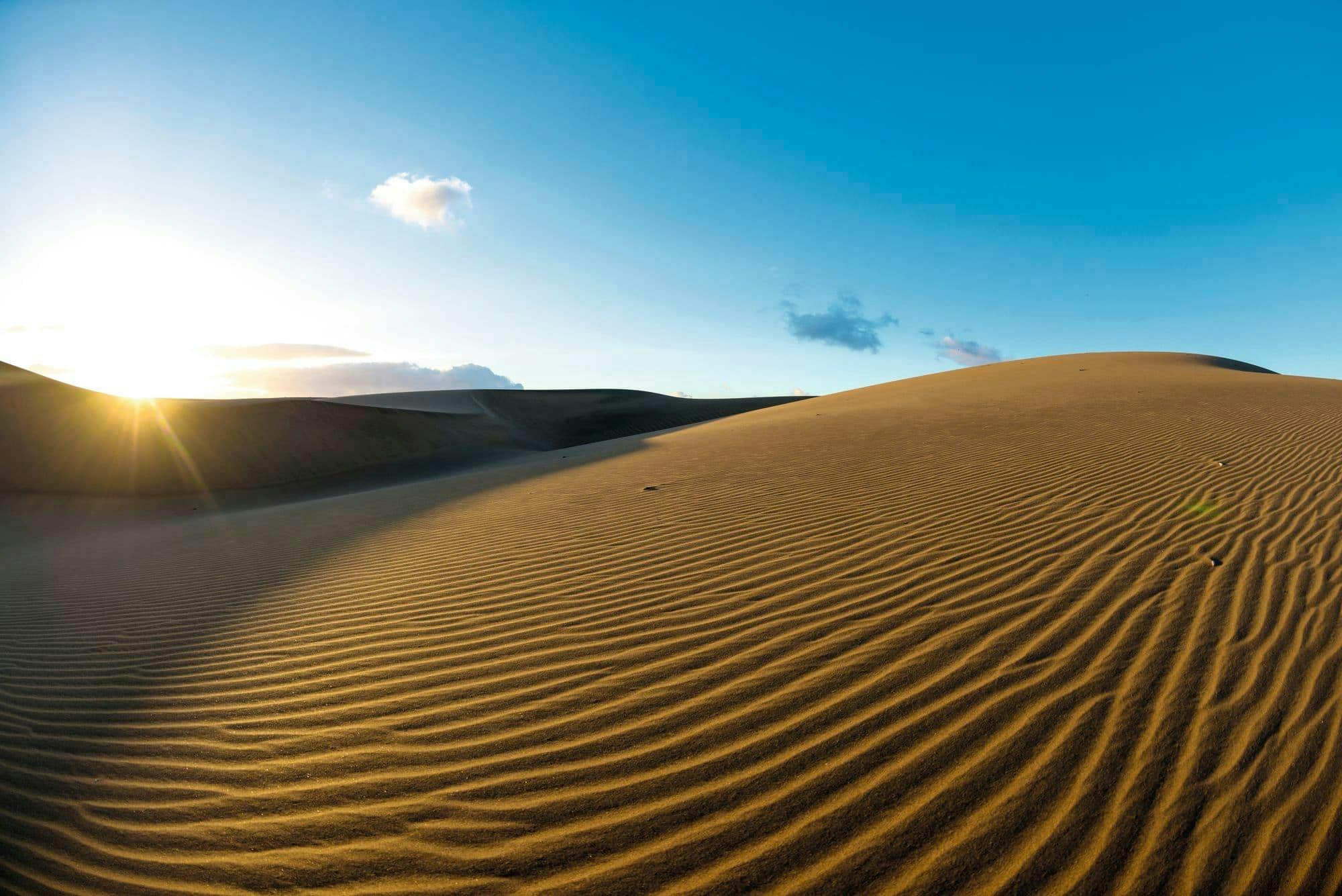 Maspalomas Sand Dunes and Puerto de Mogan Tour